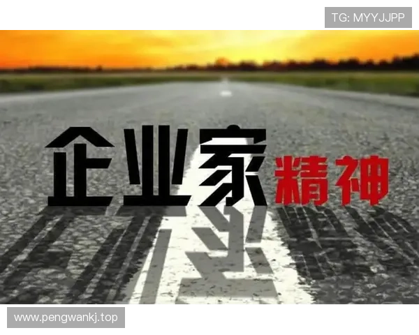 什么是企业家 如何理解企业家精神与创新思维的核心价值