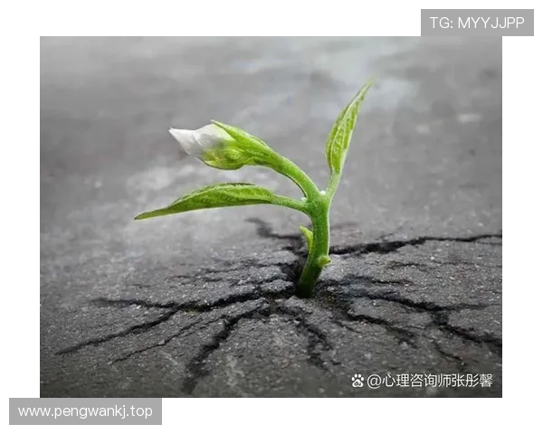 从逆境突围到行业领军的企业家成长与成功实践经验深度启示案例集